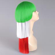 flagwigs, football wigs, fan wigs, afro wigs, mullet wigs, bob wigs, euro wigs,  premier league wigs,Iran Long Wig
