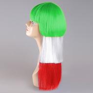 flagwigs, football wigs, fan wigs, afro wigs, mullet wigs, bob wigs, euro wigs,  premier league wigs,Iran Long Wig